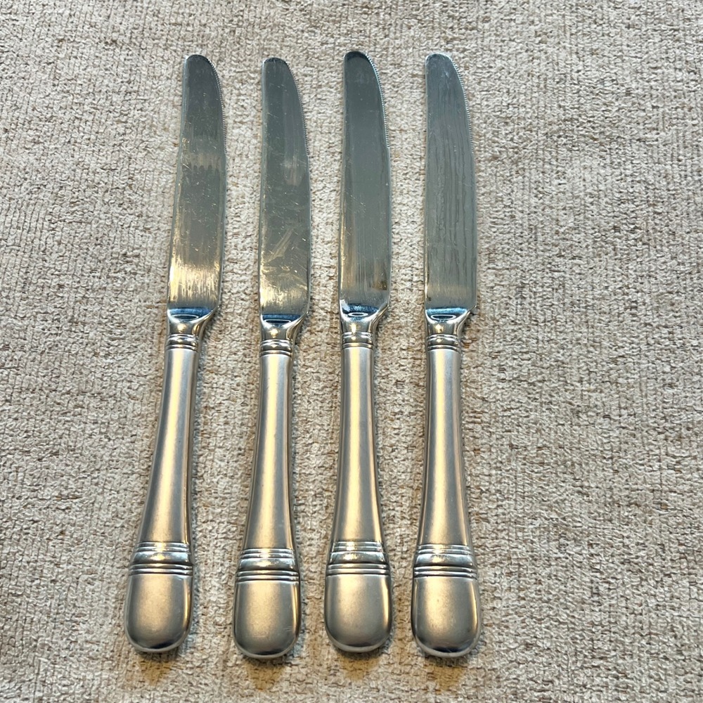 Oneida Astragal 18/10 Stainless Steel Dinner Knives Set of 4 Serrated Blade